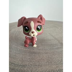 Littlest Pet Shop Authentic #129 Calla Boxton Brown Boxer Dog LPS Green Eyes